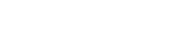 SACOCHE